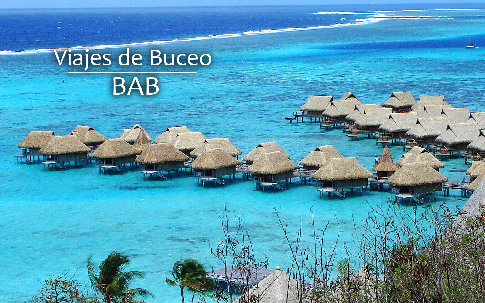 Viajes y Salidas de Buceo